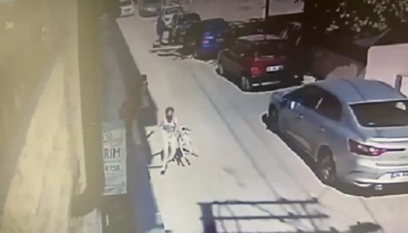 5 yaşındaki çocuğa ve kadına saldıran köpeğin sahibine hapis talebi