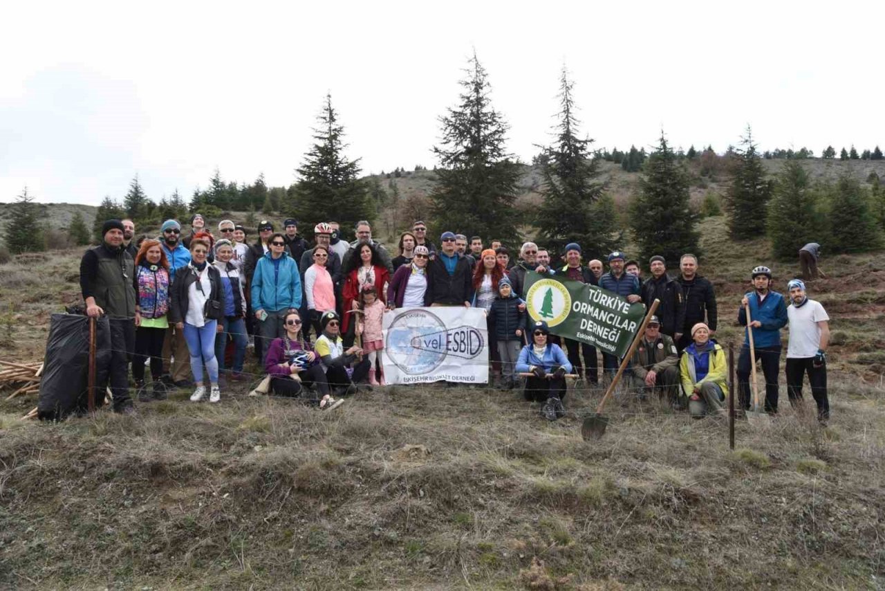 Orman Haftası kutlamasında 250 fidan dikildi