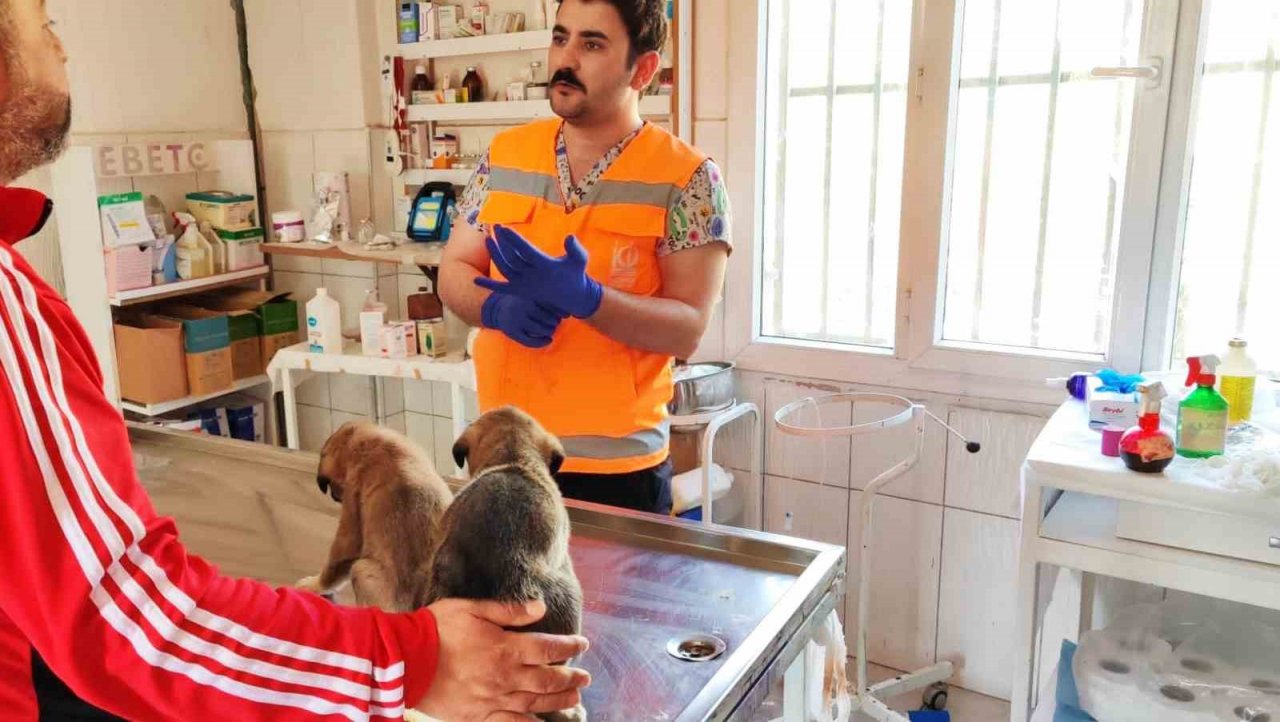 Keçiören Belediyesi binlerce afetzede canlıyı tedavi etti