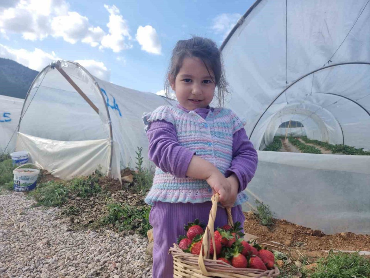 Suya kavuşan topraklarda üretim başladı