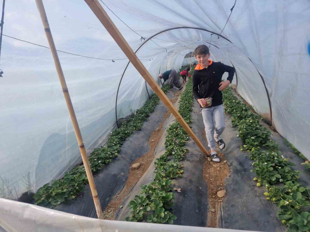 Suya kavuşan topraklarda üretim başladı