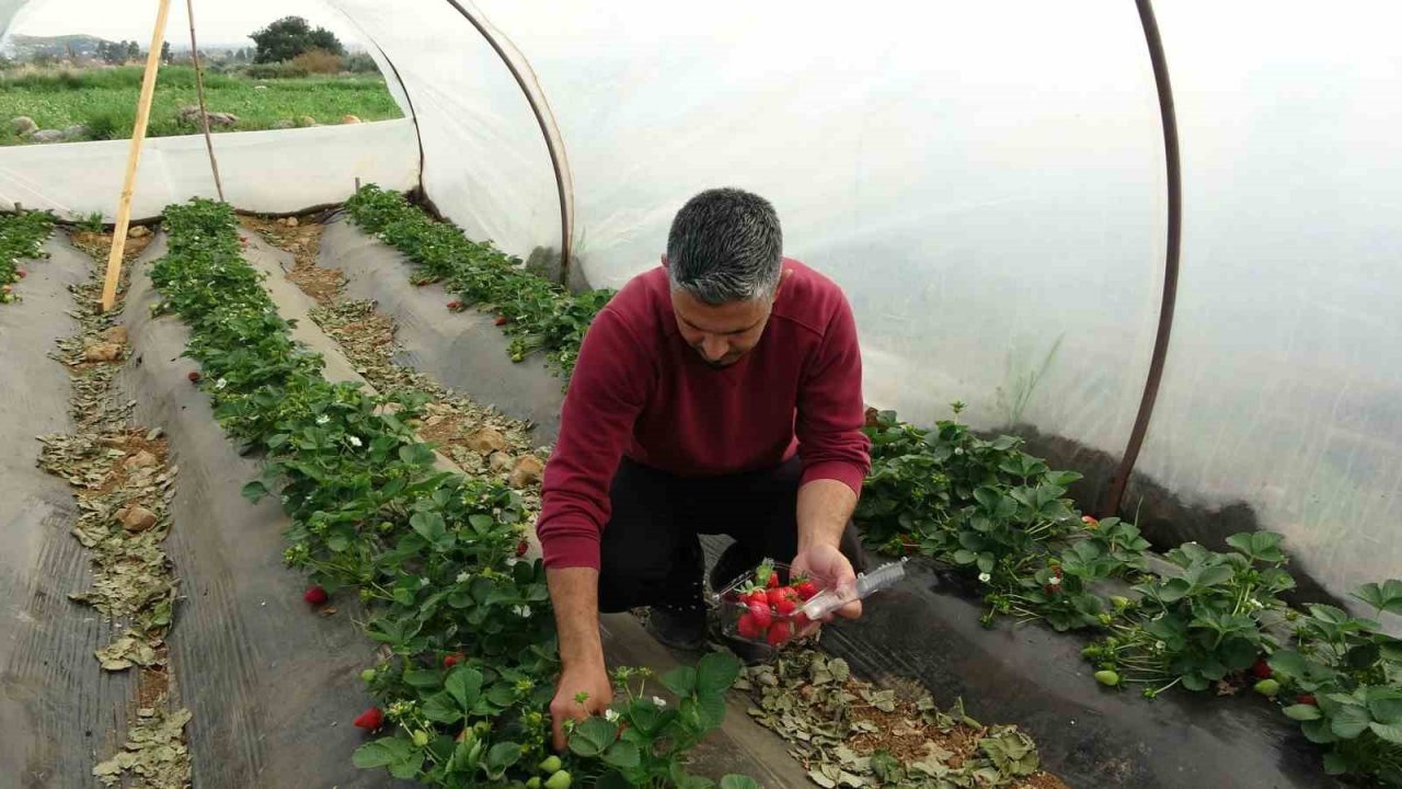Suya kavuşan topraklarda üretim başladı