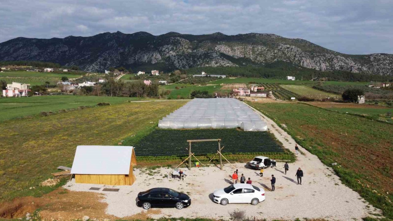 Suya kavuşan topraklarda üretim başladı