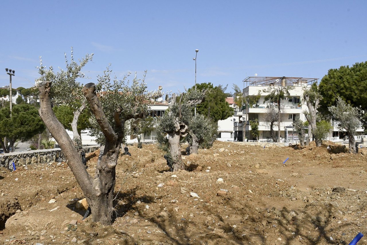 Altın Güvercin Müzik Parkı, yeşil ile sanatı buluşturuyor