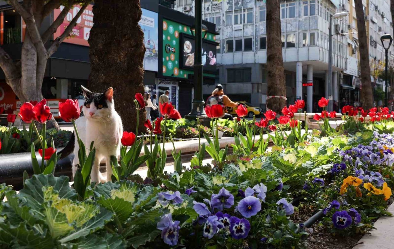 Antalya rengârenk lalelerle süslendi