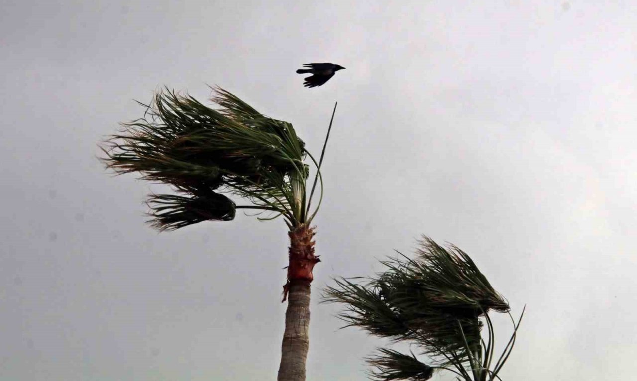 Şiddetli rüzgarla oluşan dalgalar falezleri dövdü, sahili beyaza bürüdü