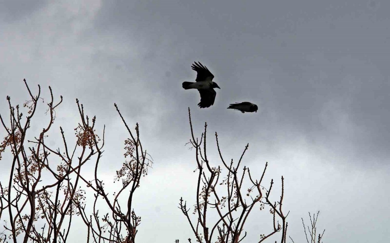 Şiddetli rüzgarla oluşan dalgalar falezleri dövdü, sahili beyaza bürüdü