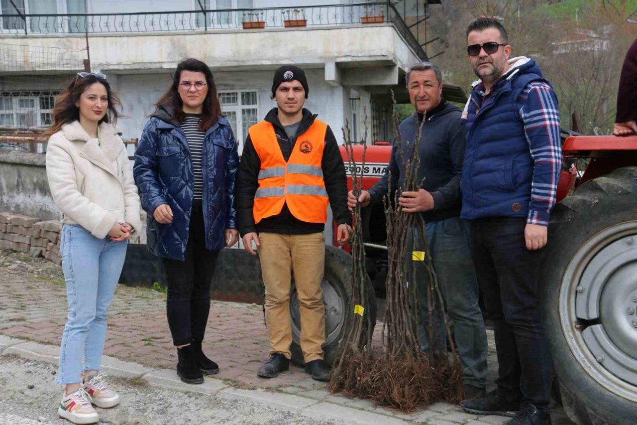 Atakum’da çiftçiye 1000 incir fidanı desteği