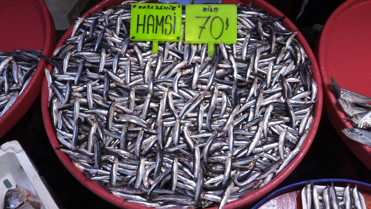 Bandırma balık halinde Ramazan bereketi