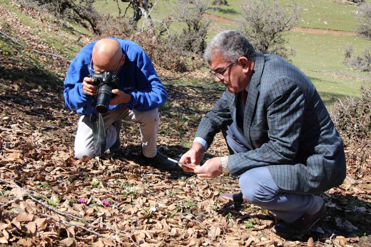 Akdağ’ın kardelenleri koruma altında: Cezası 244 bin TL