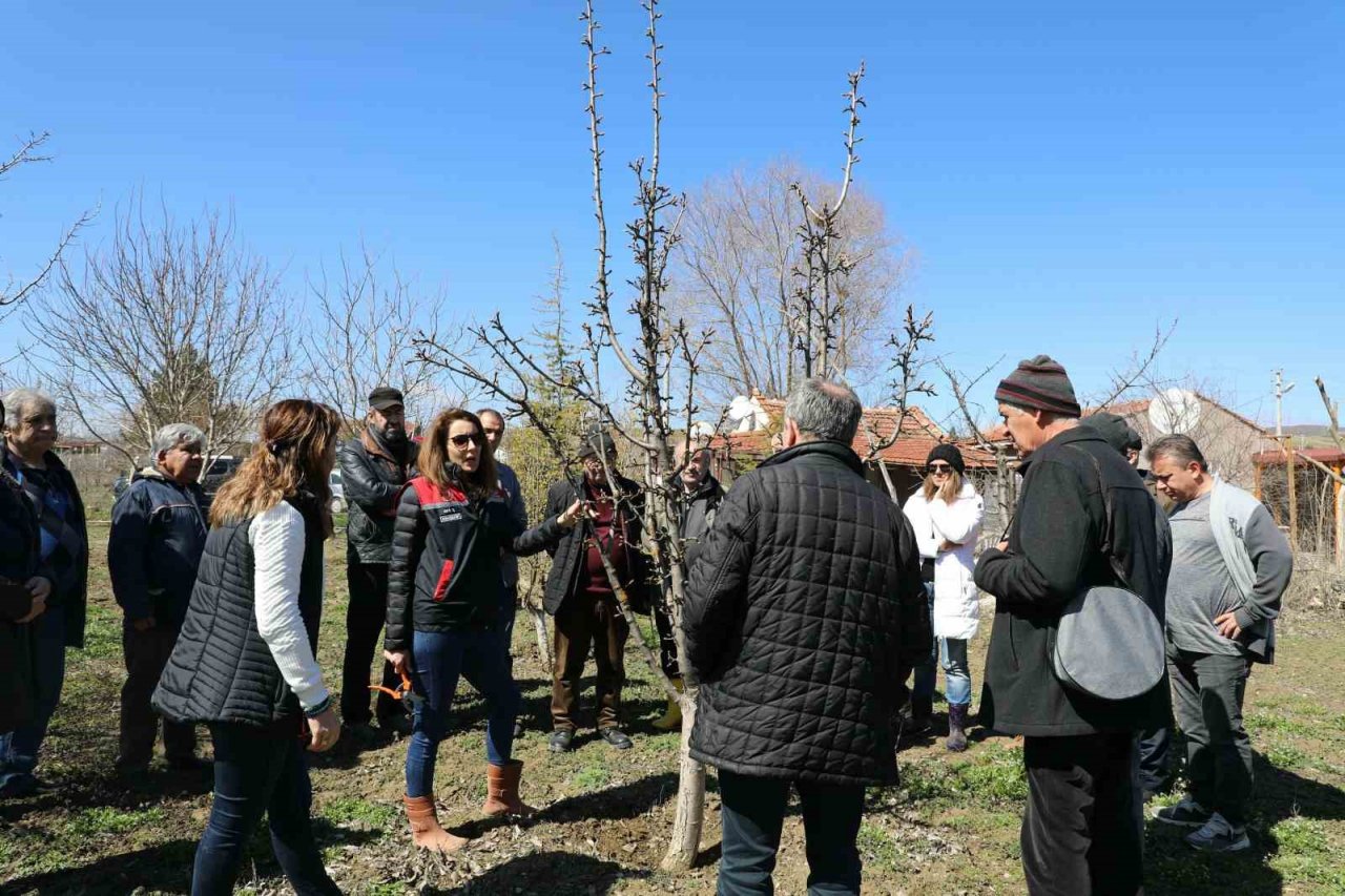 Eskişehir çiftçisine meyve ağaçlarında aşılama kursu