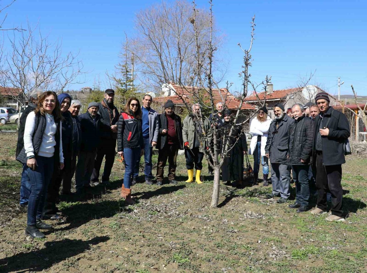 Eskişehir çiftçisine meyve ağaçlarında aşılama kursu