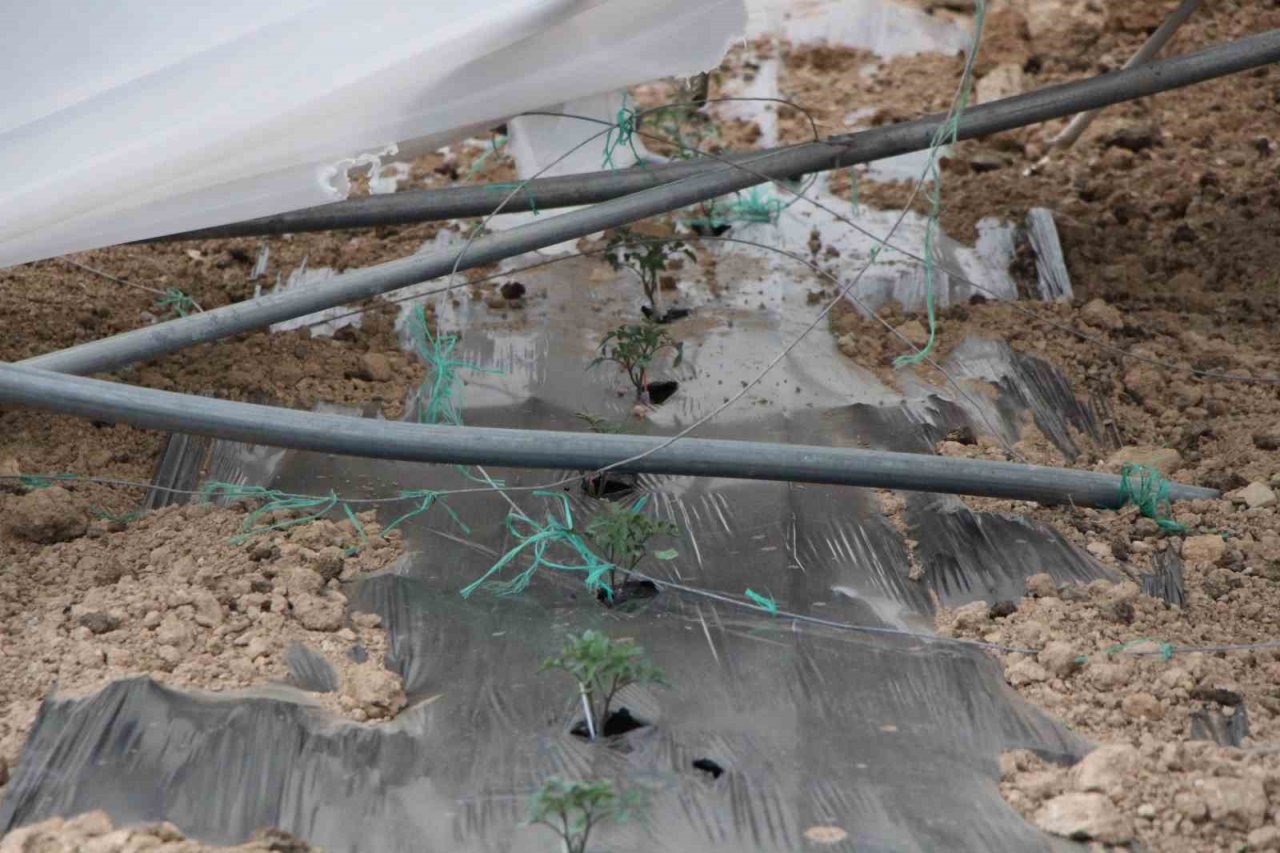 Amasya’da fırtına seraları ve pazarı vurdu