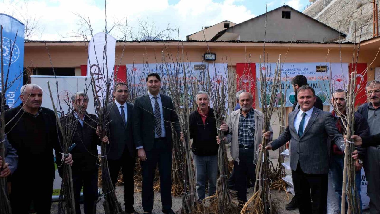 Gümüşhane’de üreticilere yem bitkisi, fidan ve kırkım makinesi dağıtımı gerçekleştirildi