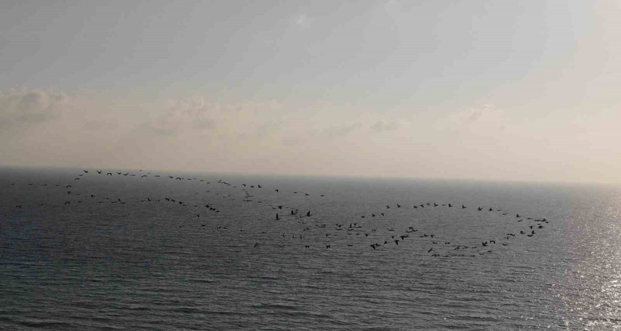 Depremin vurduğu Hatay’da göç eden turnalardan görsel şölen
