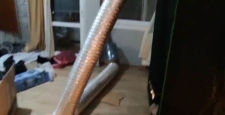 Evinde çadır kurup uyuşturucu yetiştirmiş