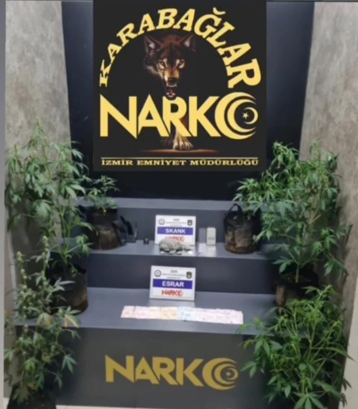 Evinde çadır kurup uyuşturucu yetiştirmiş