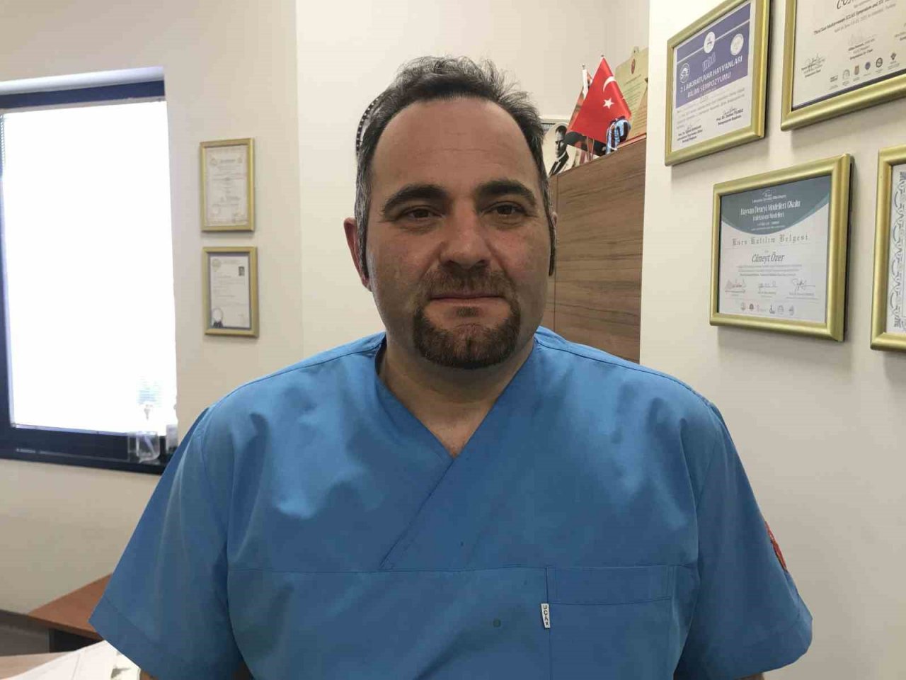 Sayısı gittikçe azalıyor: 100 kiloluk deniz kaplumbağası kıyıya vurdu