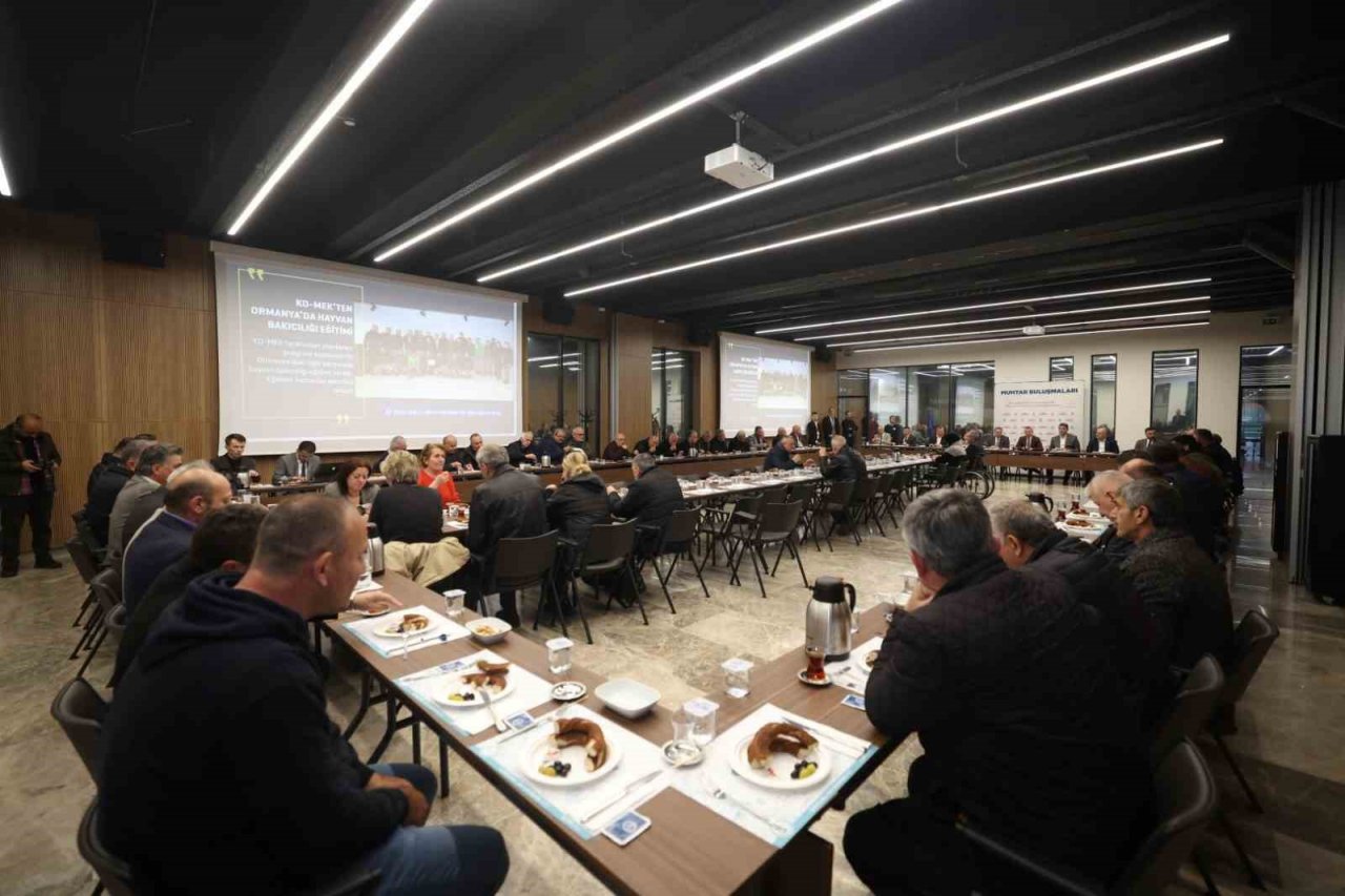 Başkan Büyükakın: “Hatay’ı ayağa kaldırmak için çalışıyoruz”