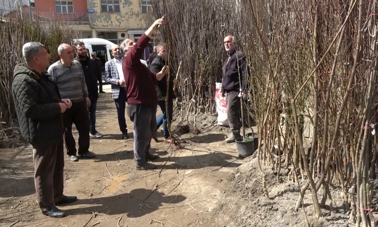 Muş’ta fidan satışları başladı