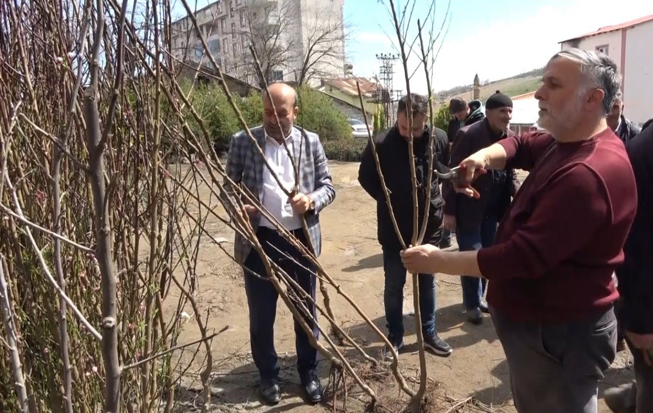 Muş’ta fidan satışları başladı
