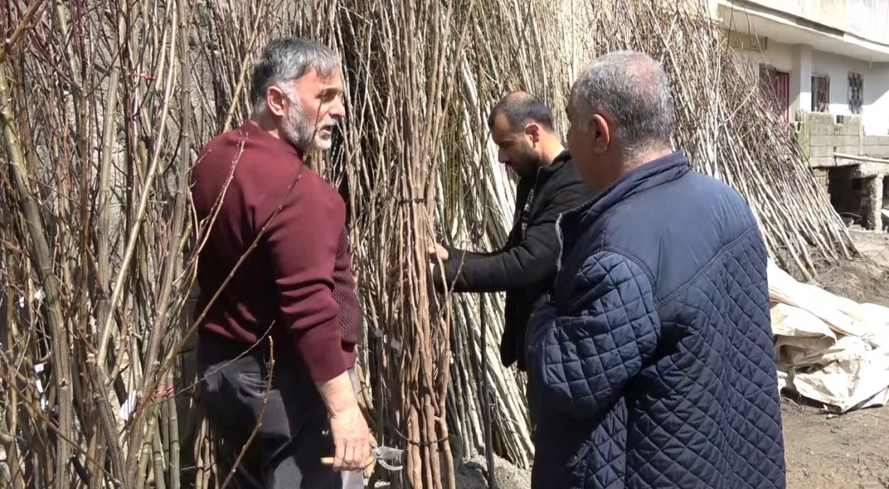 Muş’ta fidan satışları başladı