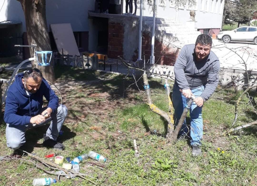 Duyarlı öğretmenden yabani meyve ağaçlarına aşı