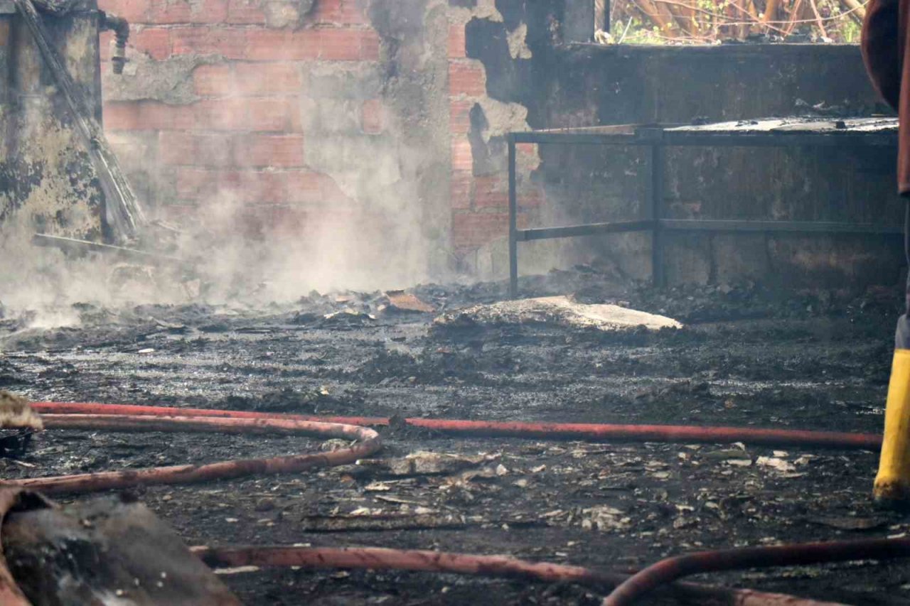 Mangal kömürü üretim tesisi alev alev yandı