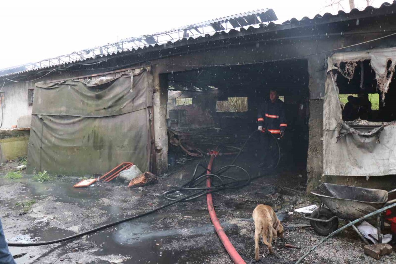 Mangal kömürü üretim tesisi alev alev yandı