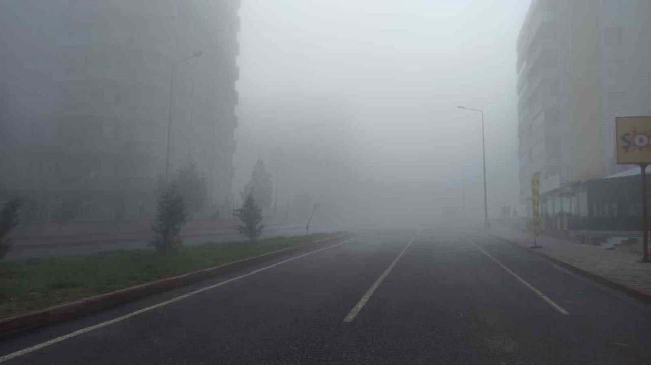 Siirt’te etkili olan sis görüş mesafesini 10 metreye kadar düşürdü