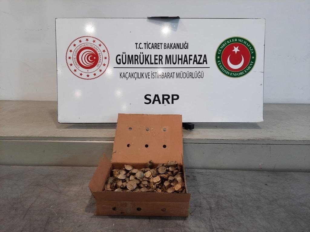 Sarp Sınır Kapısı’nda 250 adet su kaplumbağası ele geçirildi