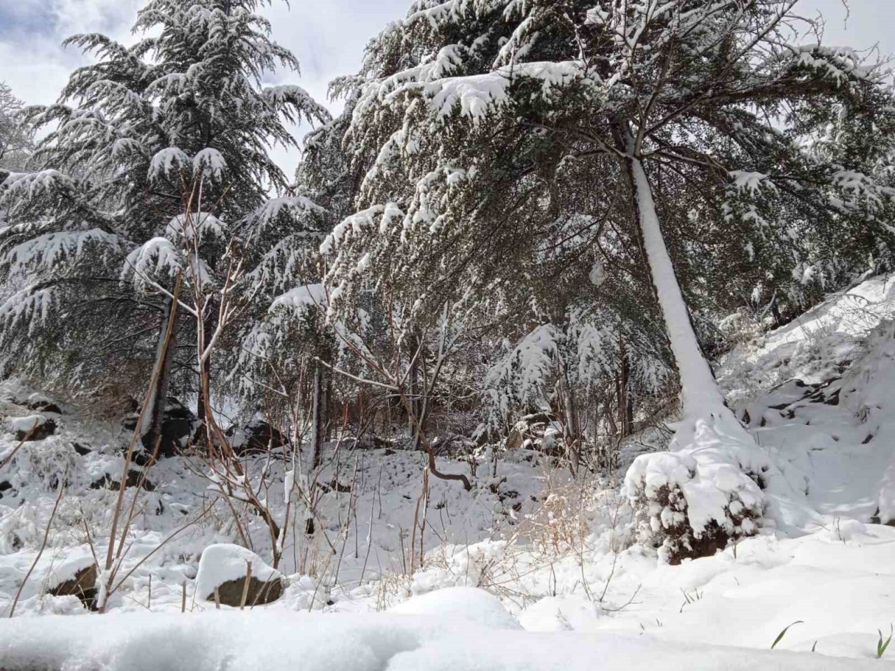 Afyonkarahisar’da mart ayında yağan kar ‘şaşırtmadı’