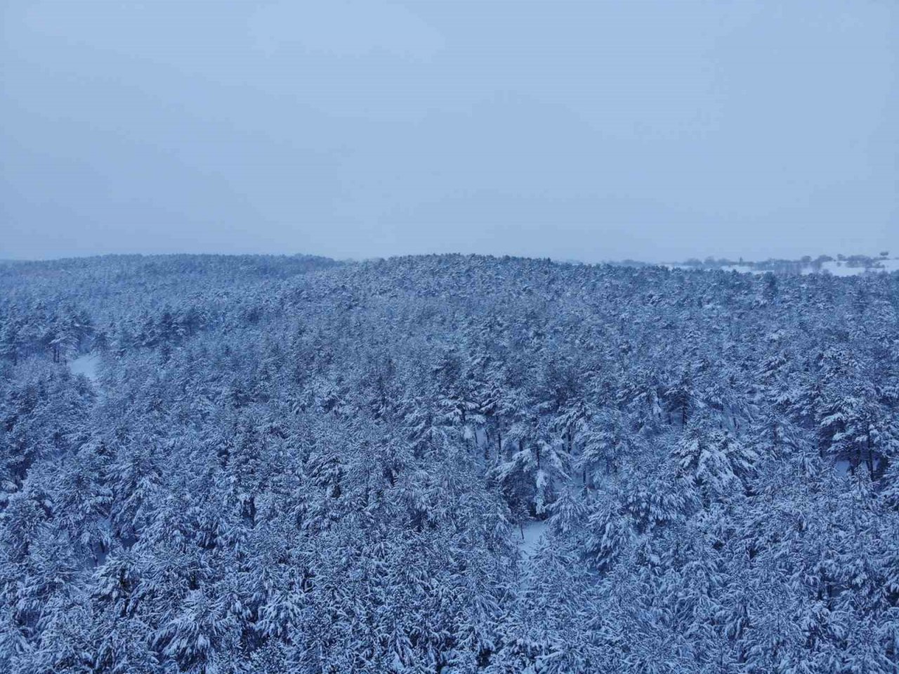 Bilecik’te mart ayında kar yağışı