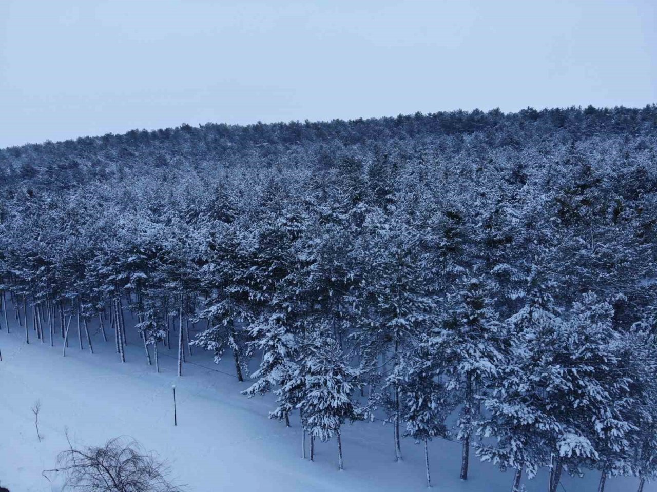 Bilecik’te mart ayında kar yağışı