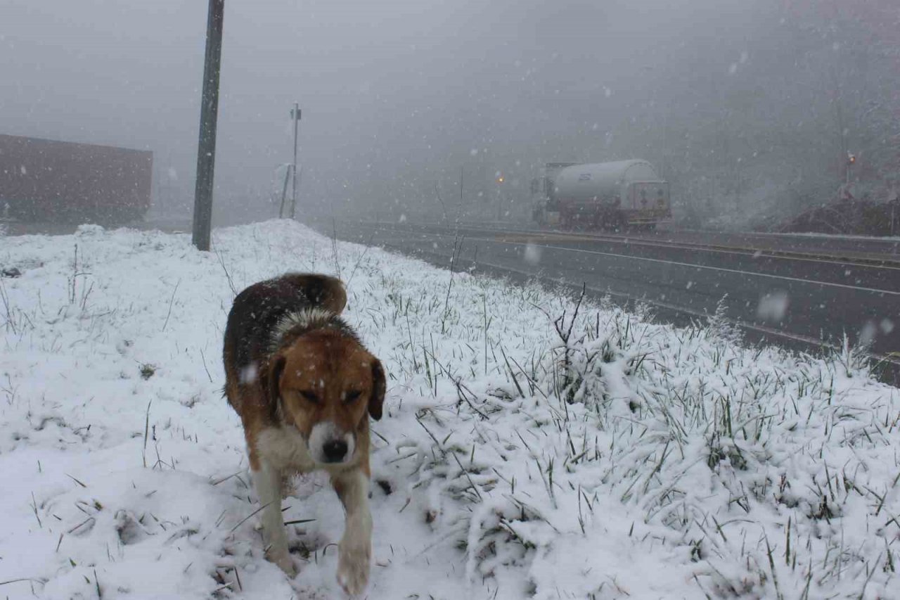 Bolu Dağı’nda kar yağışı etkili oluyor