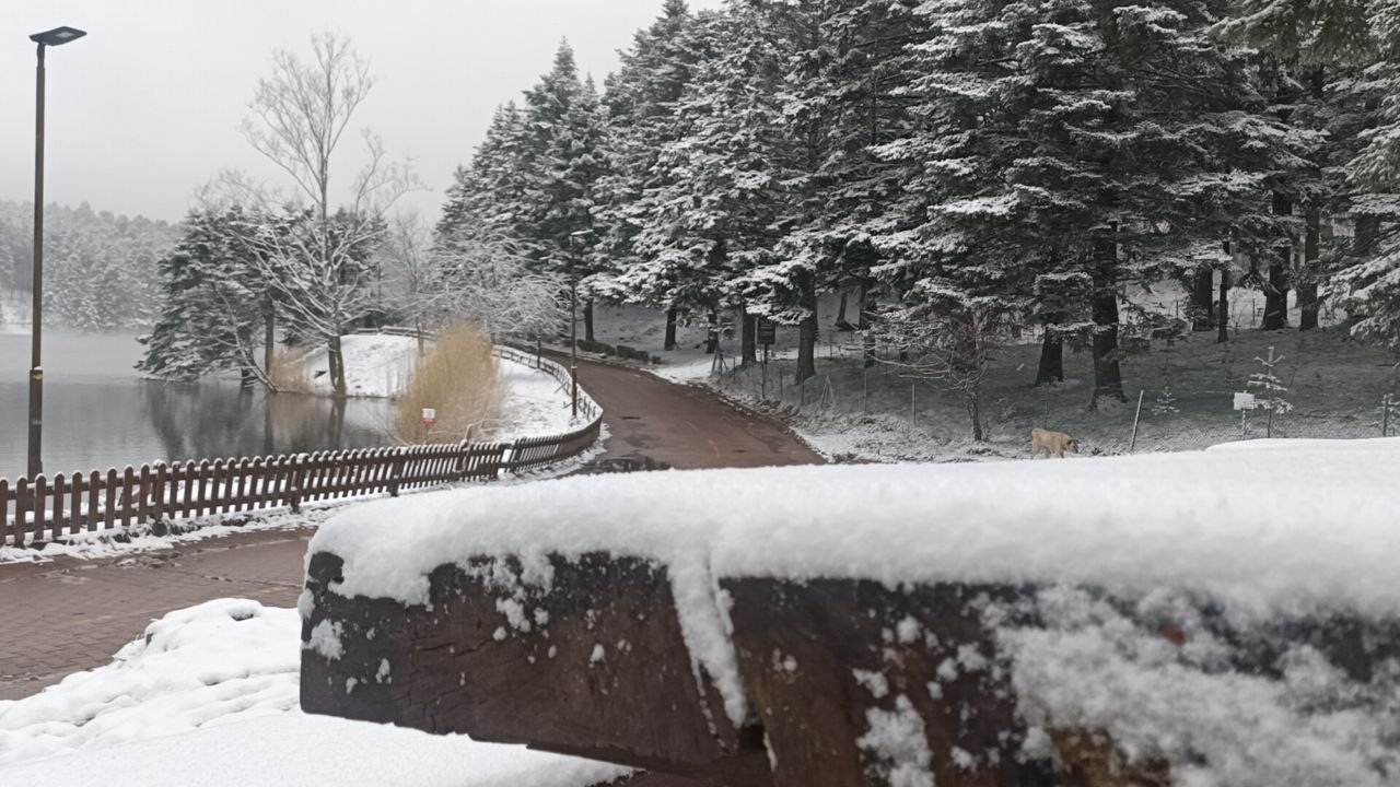 Gölcük Tabiat Parkı beyaz örtüyle kaplandı