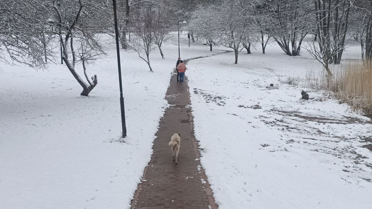 Gölcük Tabiat Parkı beyaz örtüyle kaplandı