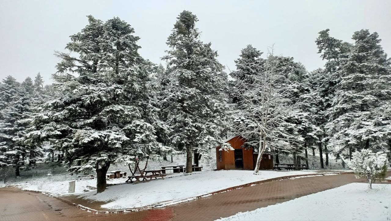 Gölcük Tabiat Parkı beyaz örtüyle kaplandı