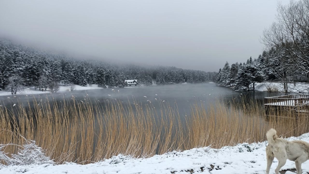 Gölcük Tabiat Parkı beyaz örtüyle kaplandı