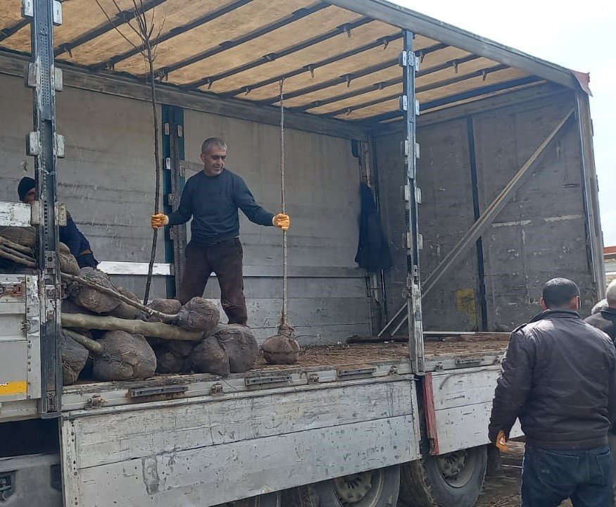 Memleketine her yıl binlerce fidan gönderiyor