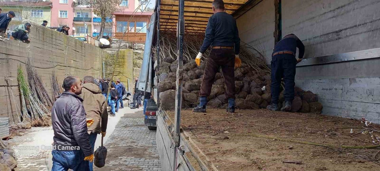 Memleketine her yıl binlerce fidan gönderiyor
