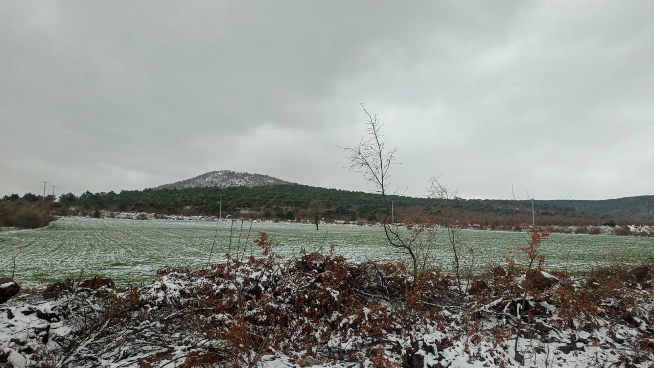 Kar yağışı doğada güzel görüntüler oluşturdu
