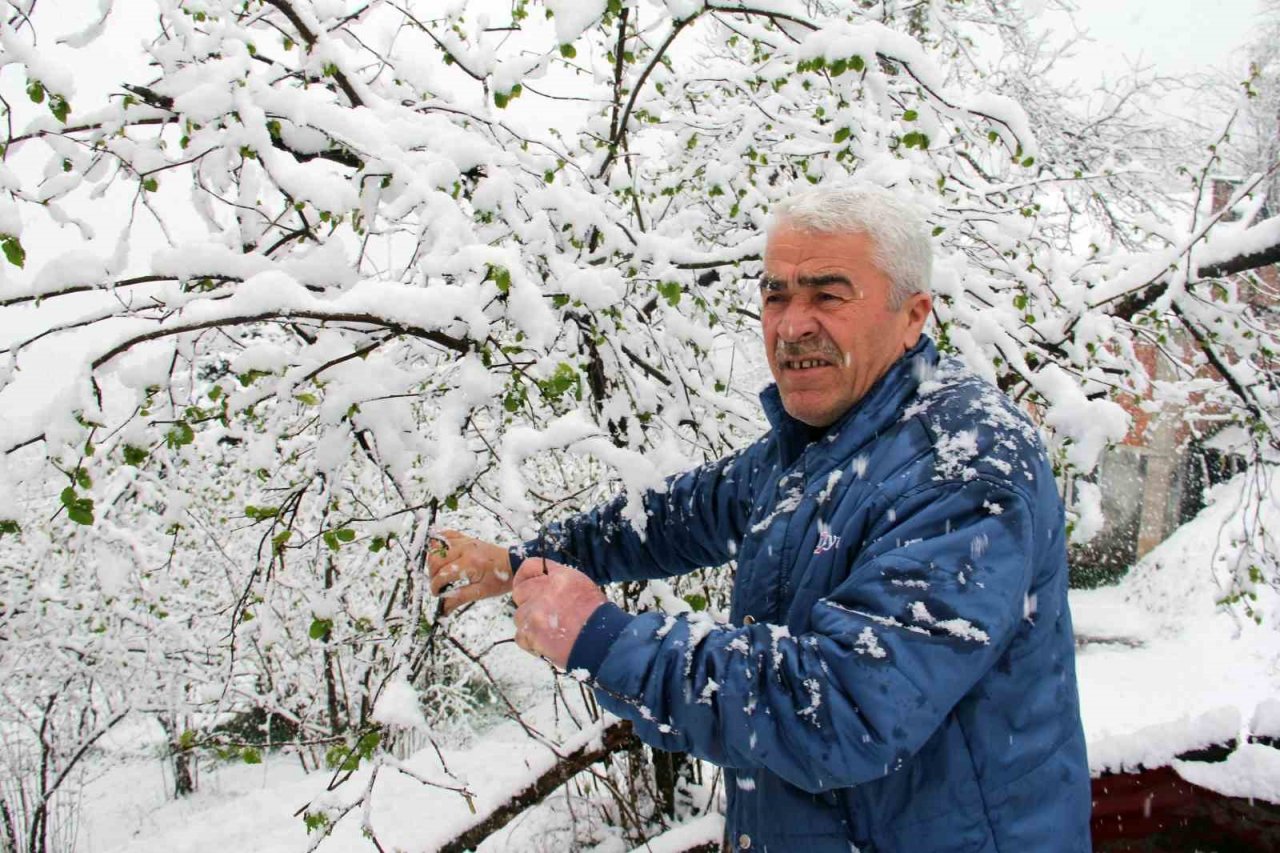 Mart karı fındık üreticisini endişelendirdi