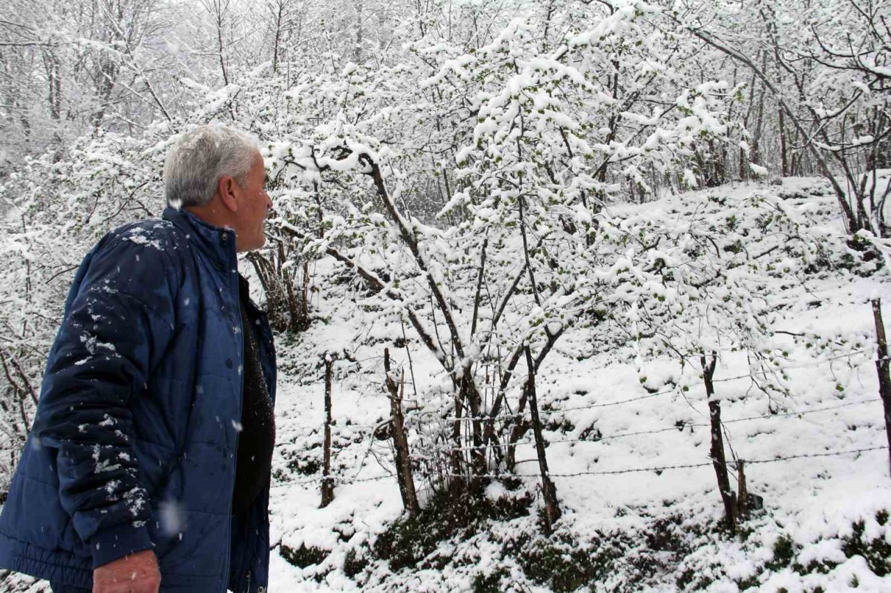 Mart karı fındık üreticisini endişelendirdi