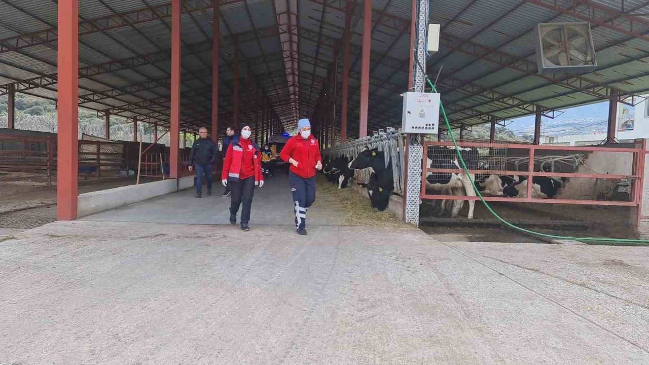 Helikopter tarlaya indi, doktorlar 2 saat mücadele etti, işçi kurtarılamadı