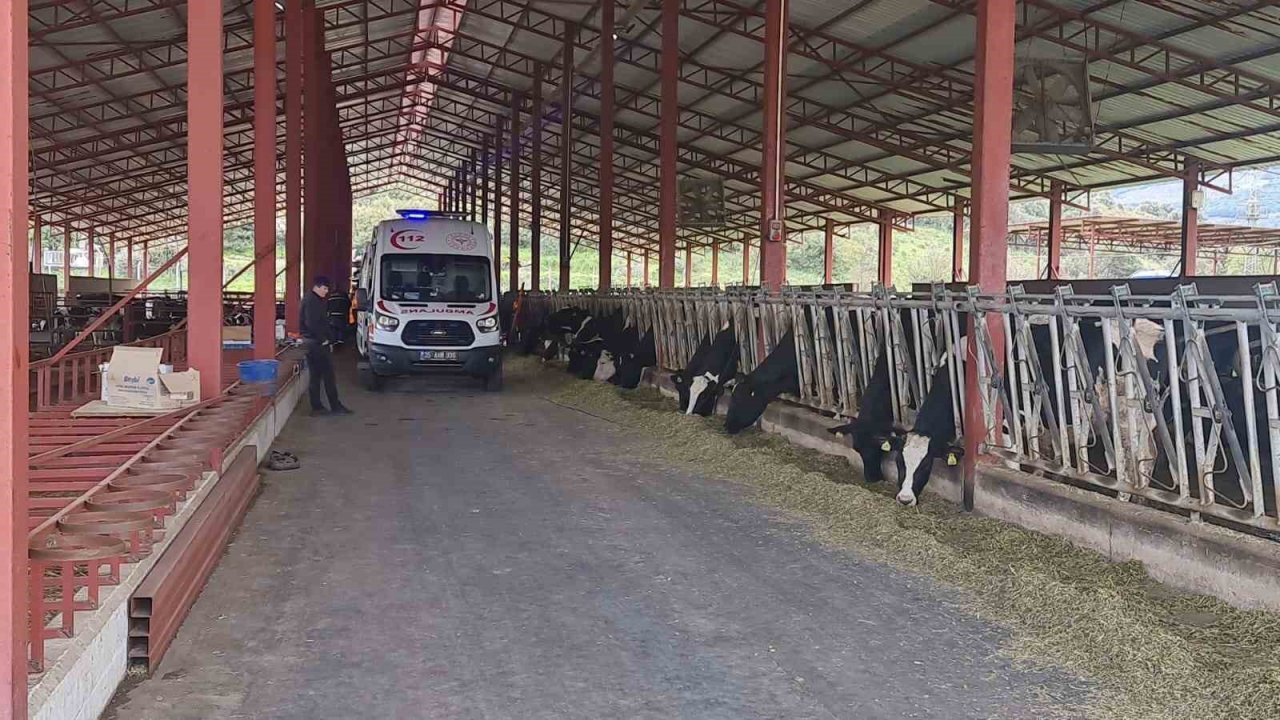 Helikopter tarlaya indi, doktorlar 2 saat mücadele etti, işçi kurtarılamadı