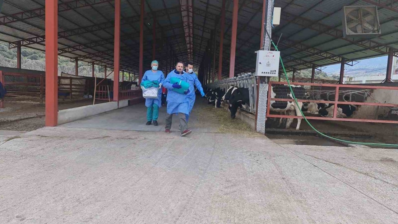 Helikopter tarlaya indi, doktorlar 2 saat mücadele etti, işçi kurtarılamadı