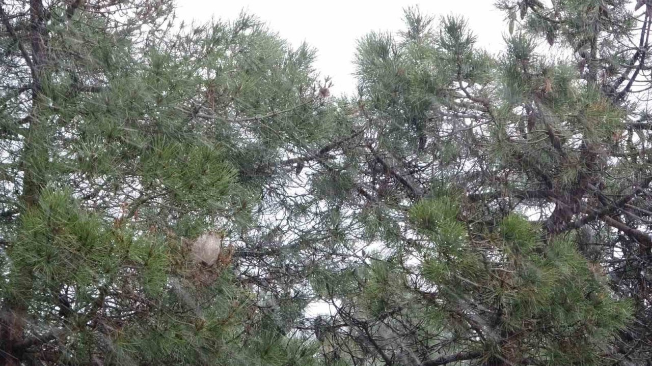 Ramazan ayında İstanbul’a kar yağdı