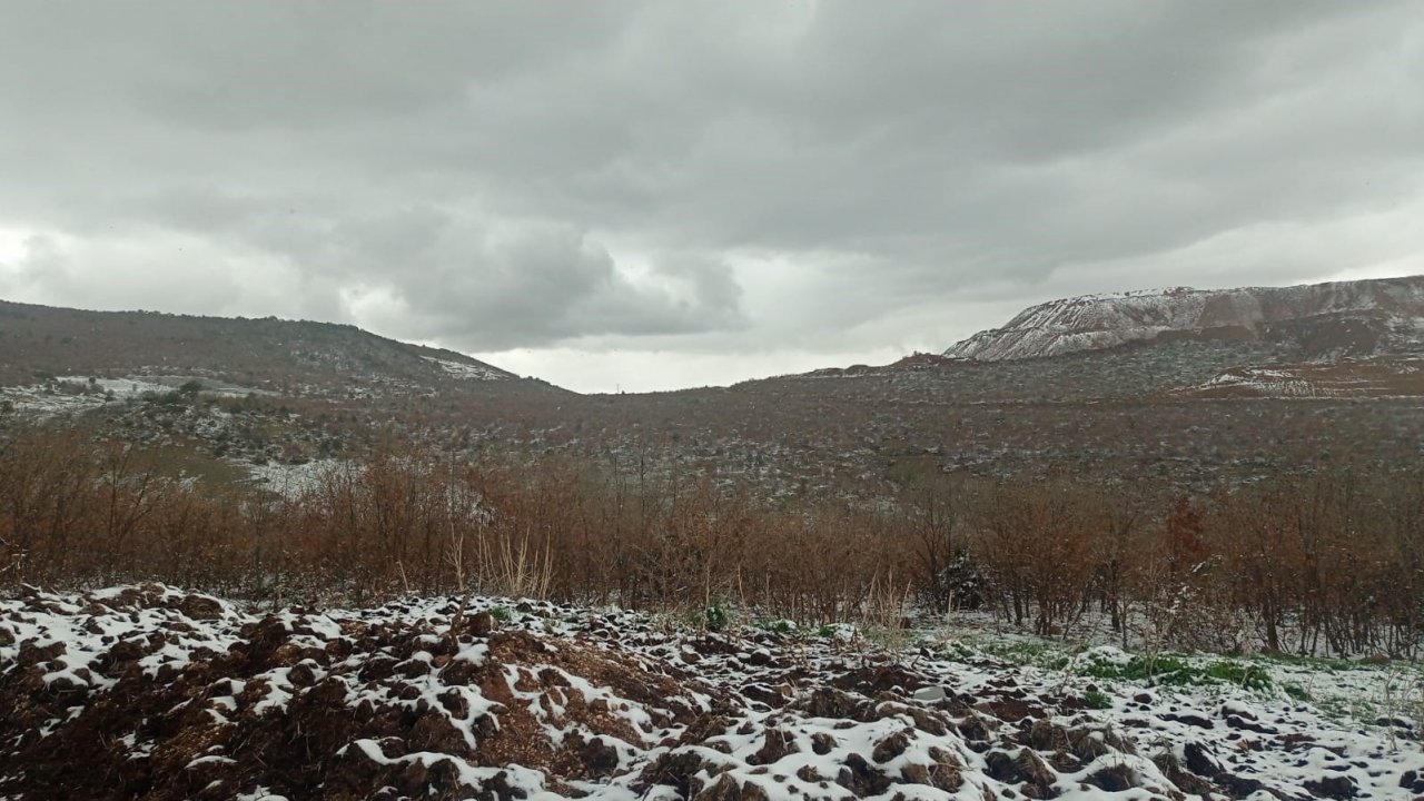 Kar yağışı doğada güzel görüntüler oluşturdu