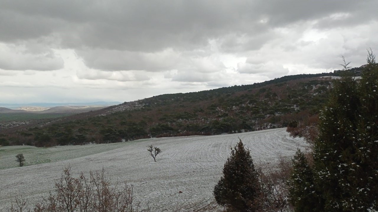 Kar yağışı doğada güzel görüntüler oluşturdu